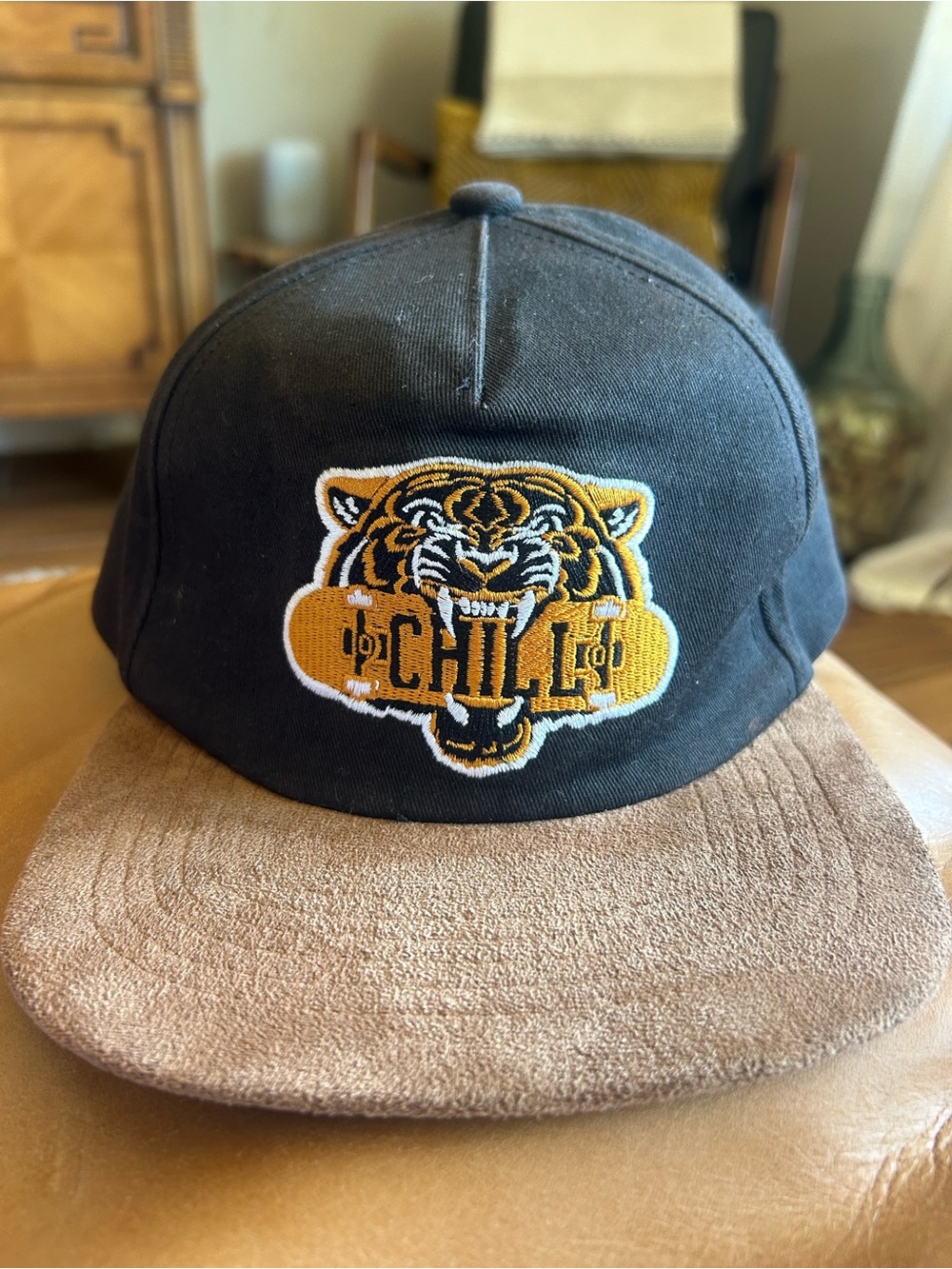 Old Navy Boys Chill Tiger Skateboard Flat Brim Snapback Hat